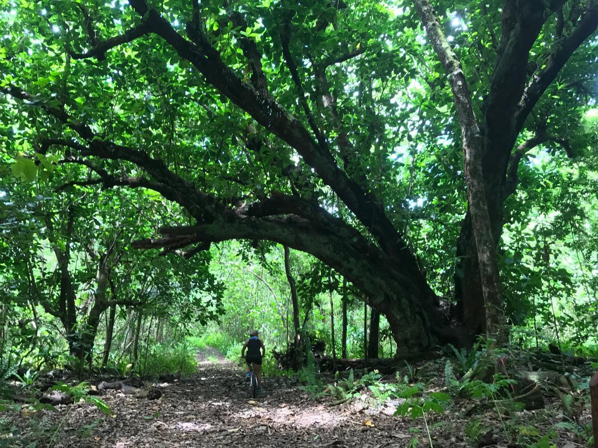 Namukulu Cottages อโลฟิ ภายนอก รูปภาพ